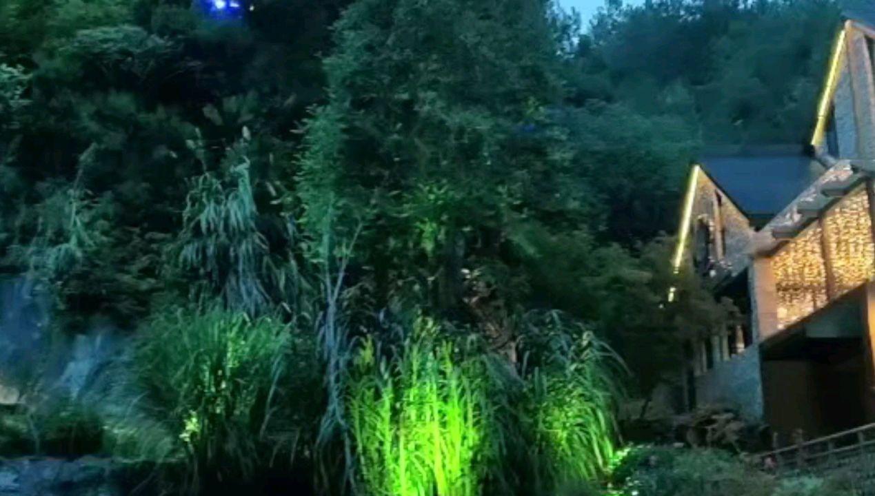 求生之路